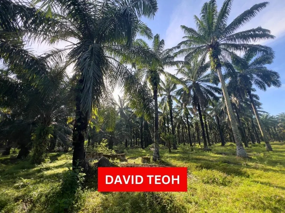 agriculture land for sale at sungai jawi penang