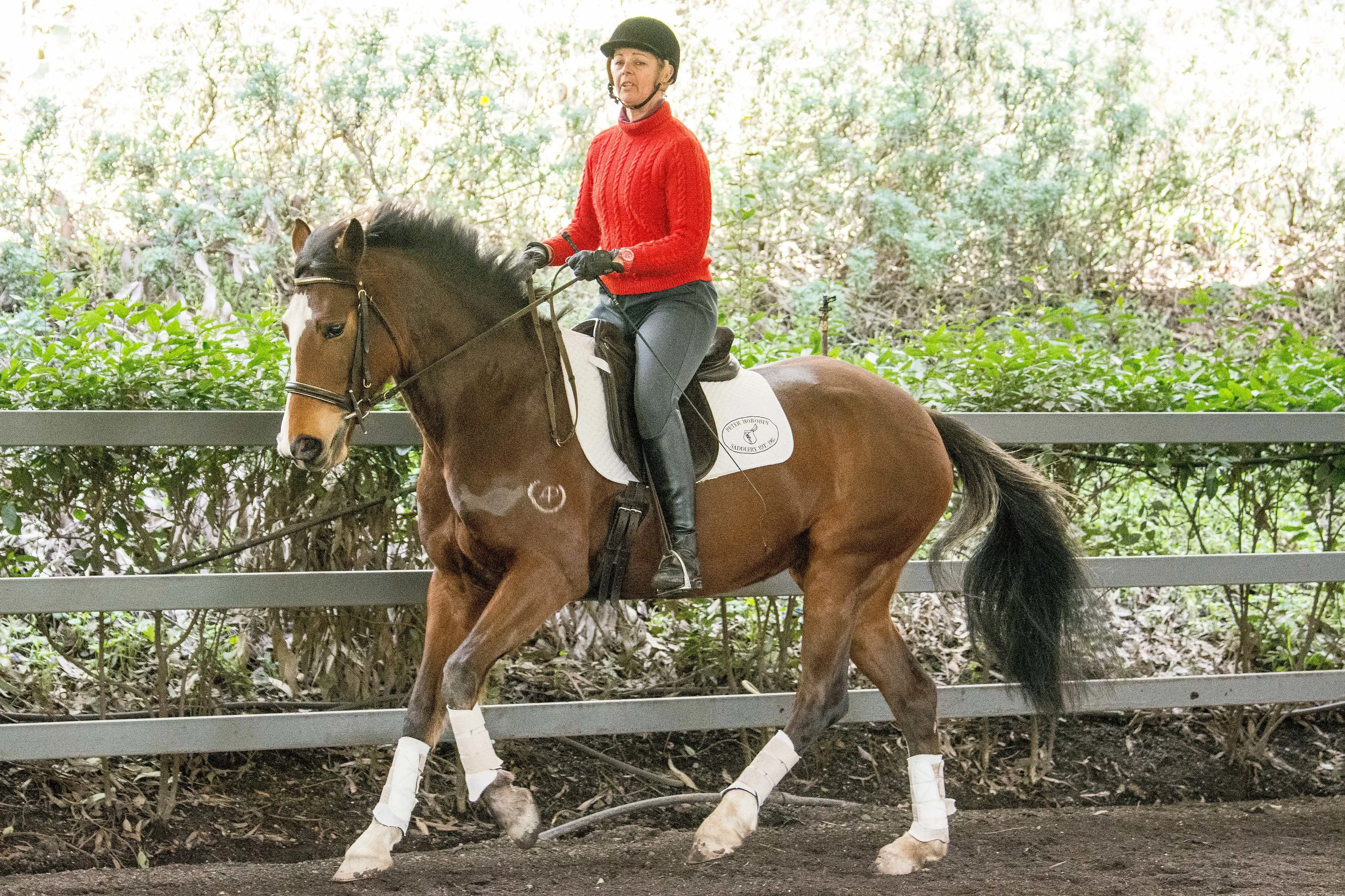 Leanne Cantering Avoca Zoe in our indoor arena