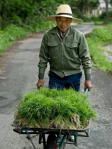 Healthy Elderly Asian Man Working