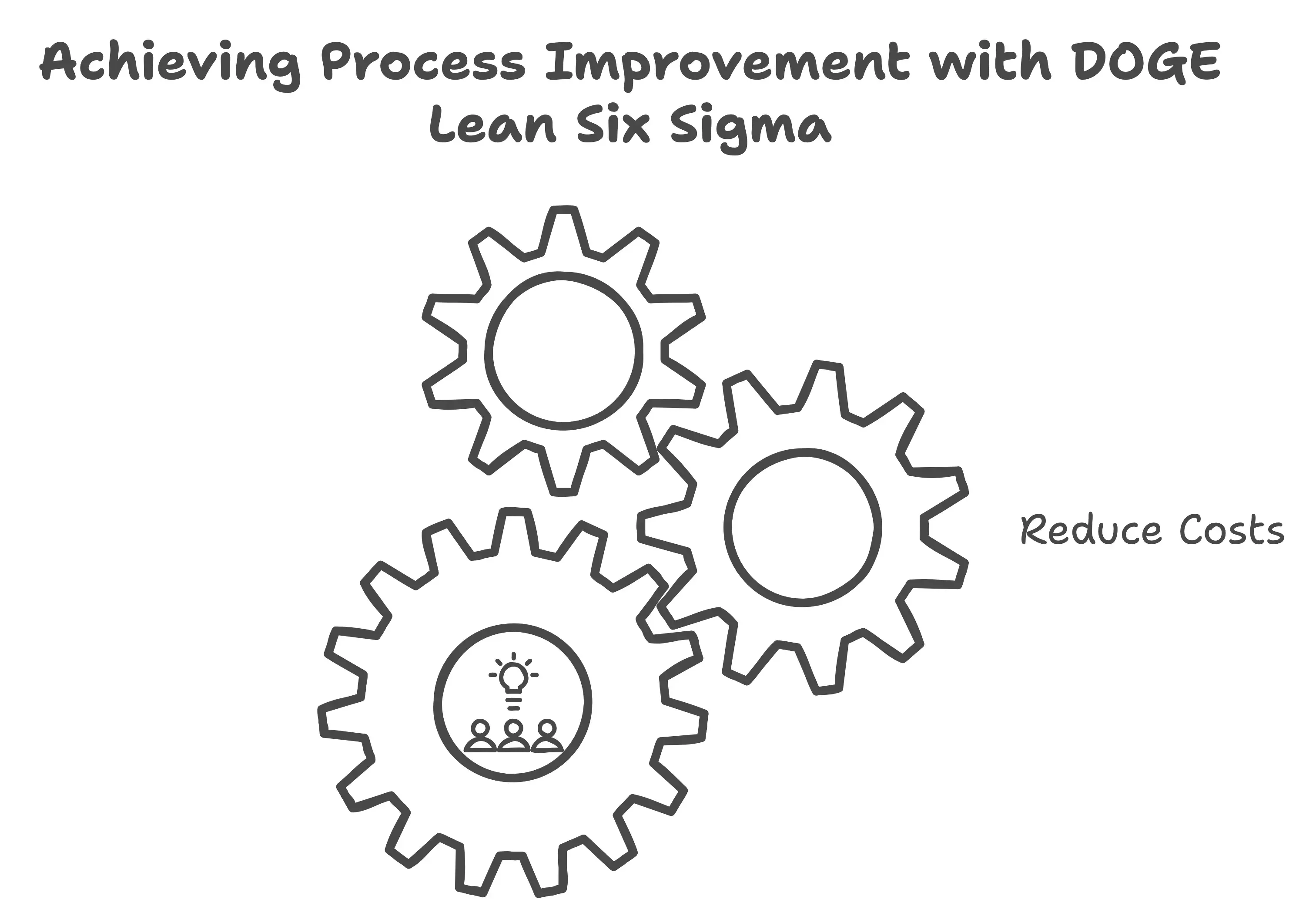 Achieving Process Improvement with DOGE Lean Six Sigma