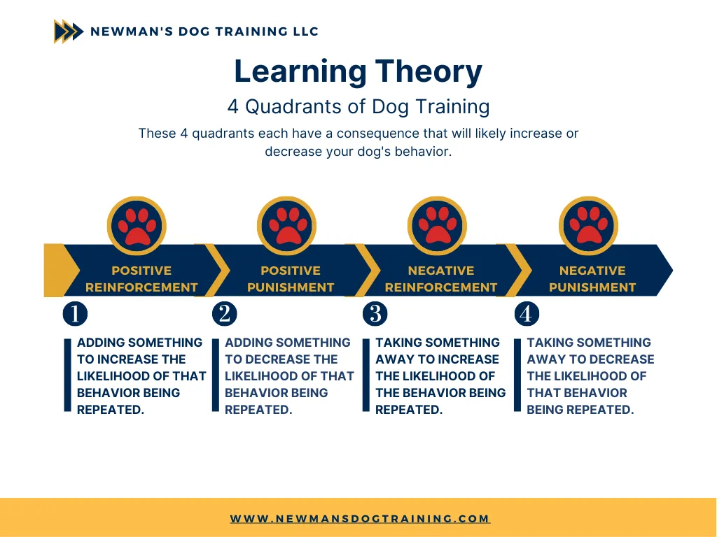 Puppy Training Dog Trainer near me Newmans dog training kansas city