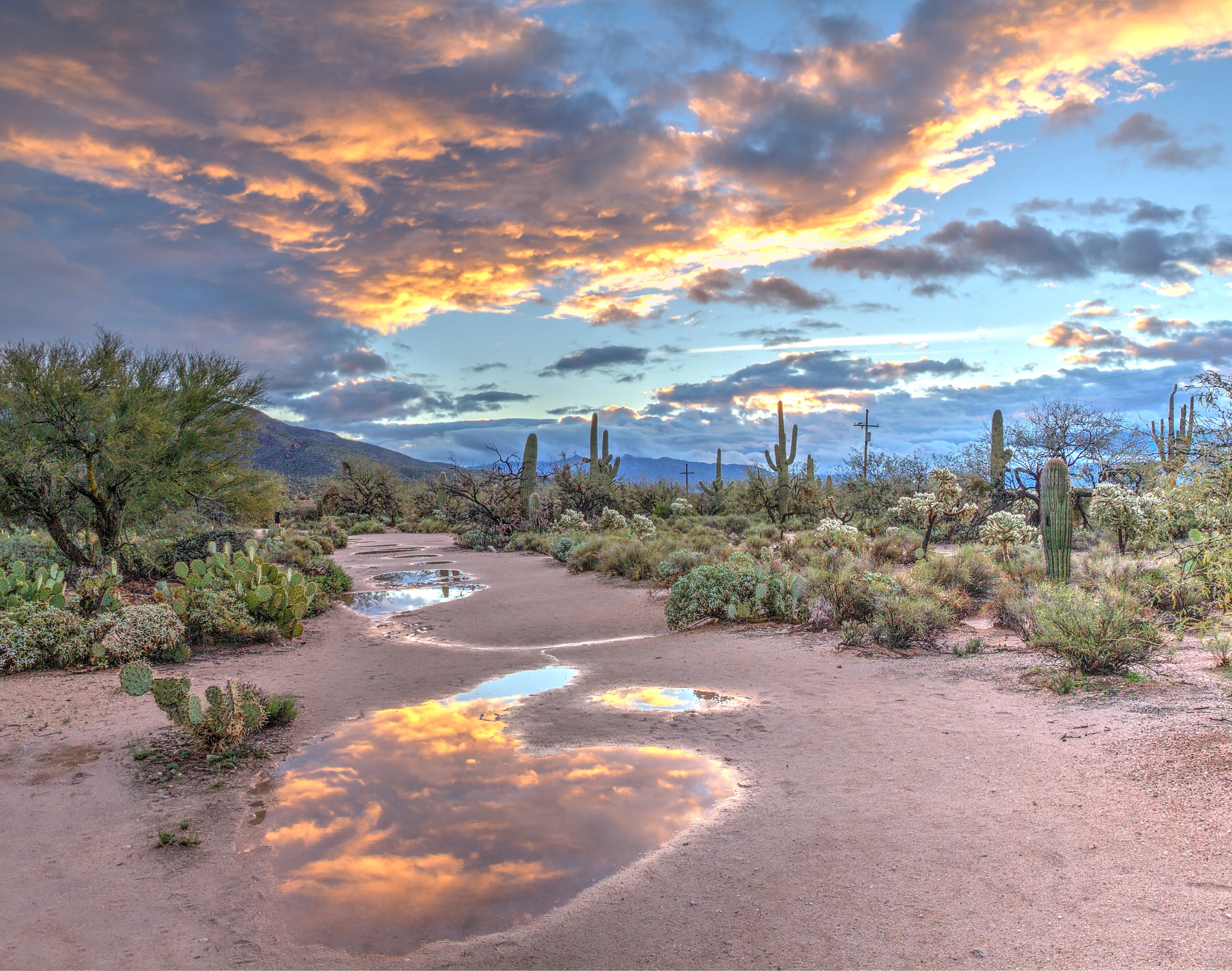 image of peaceful arizona Sonoran desert near Tucson, Marana and Oro Valley