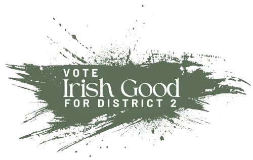 vote-irish-good-district 2