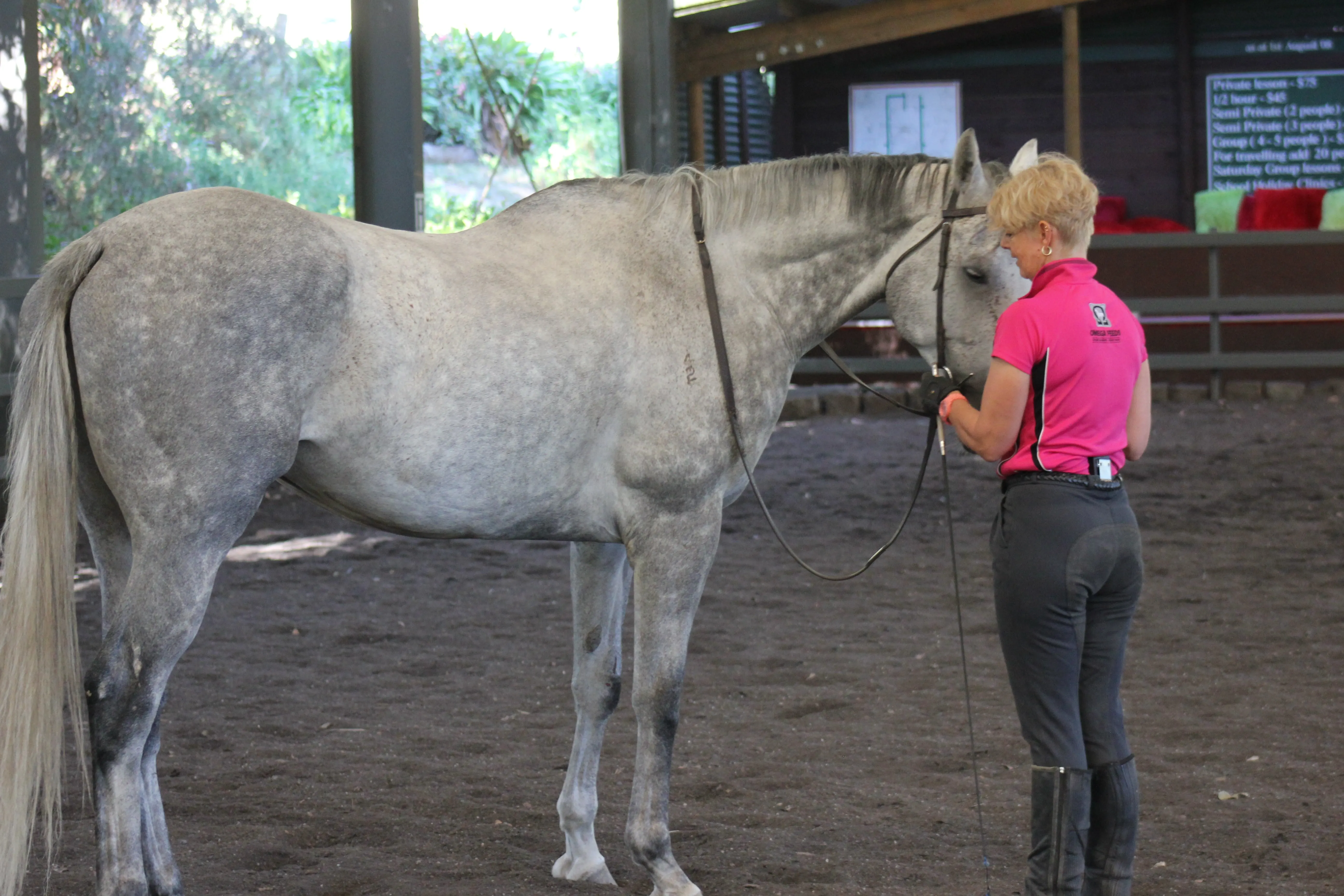 Bob working through our mouthing process to encourage relaxation