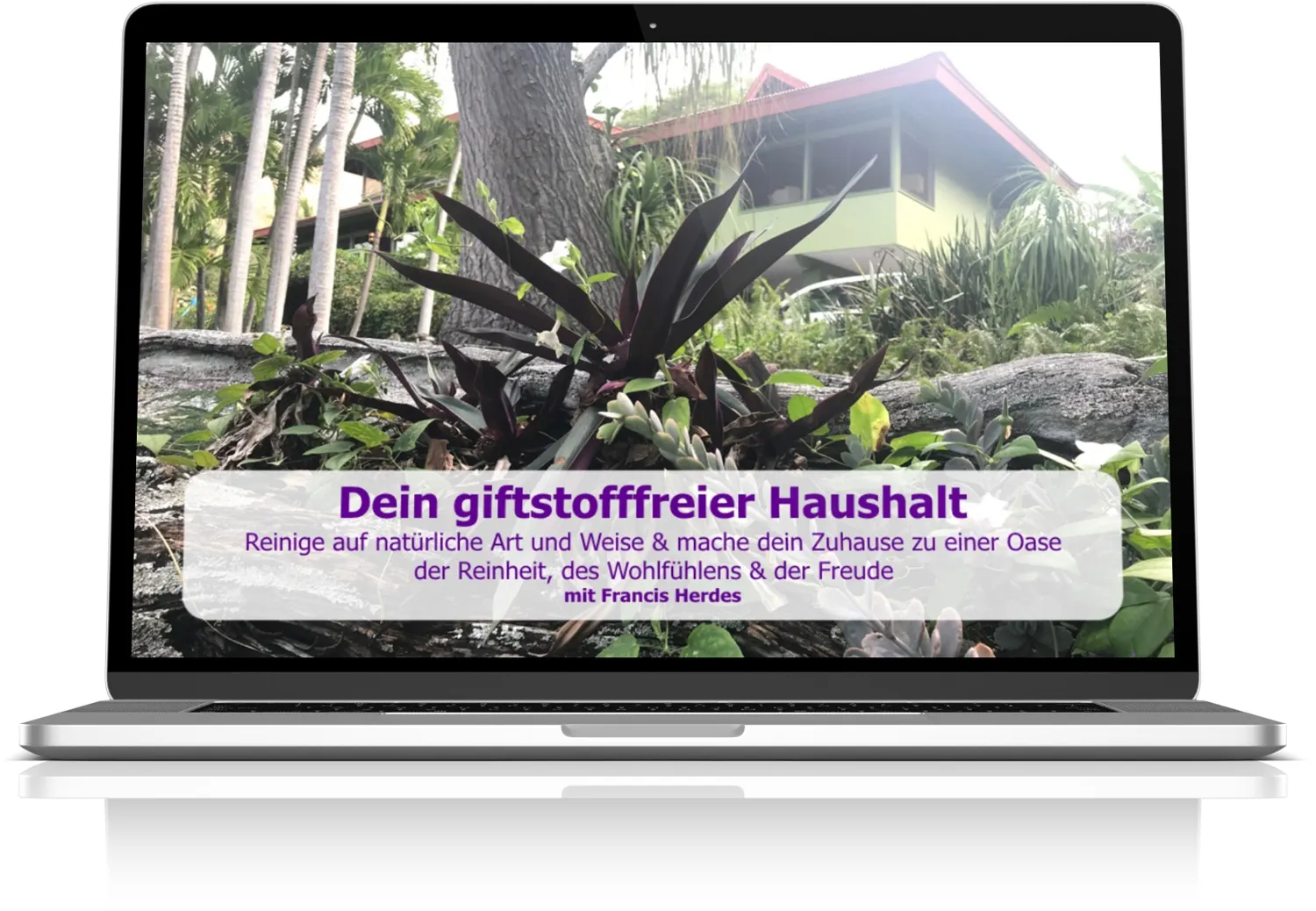 Dein giftstofffreier Haushalt