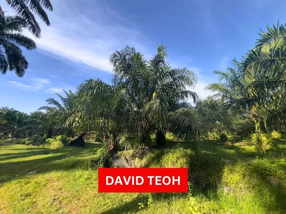 tanah pertanian untuk dijual di sungai jawi penang