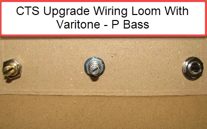 CTS upgrade wiring loom with Varitone P bass small