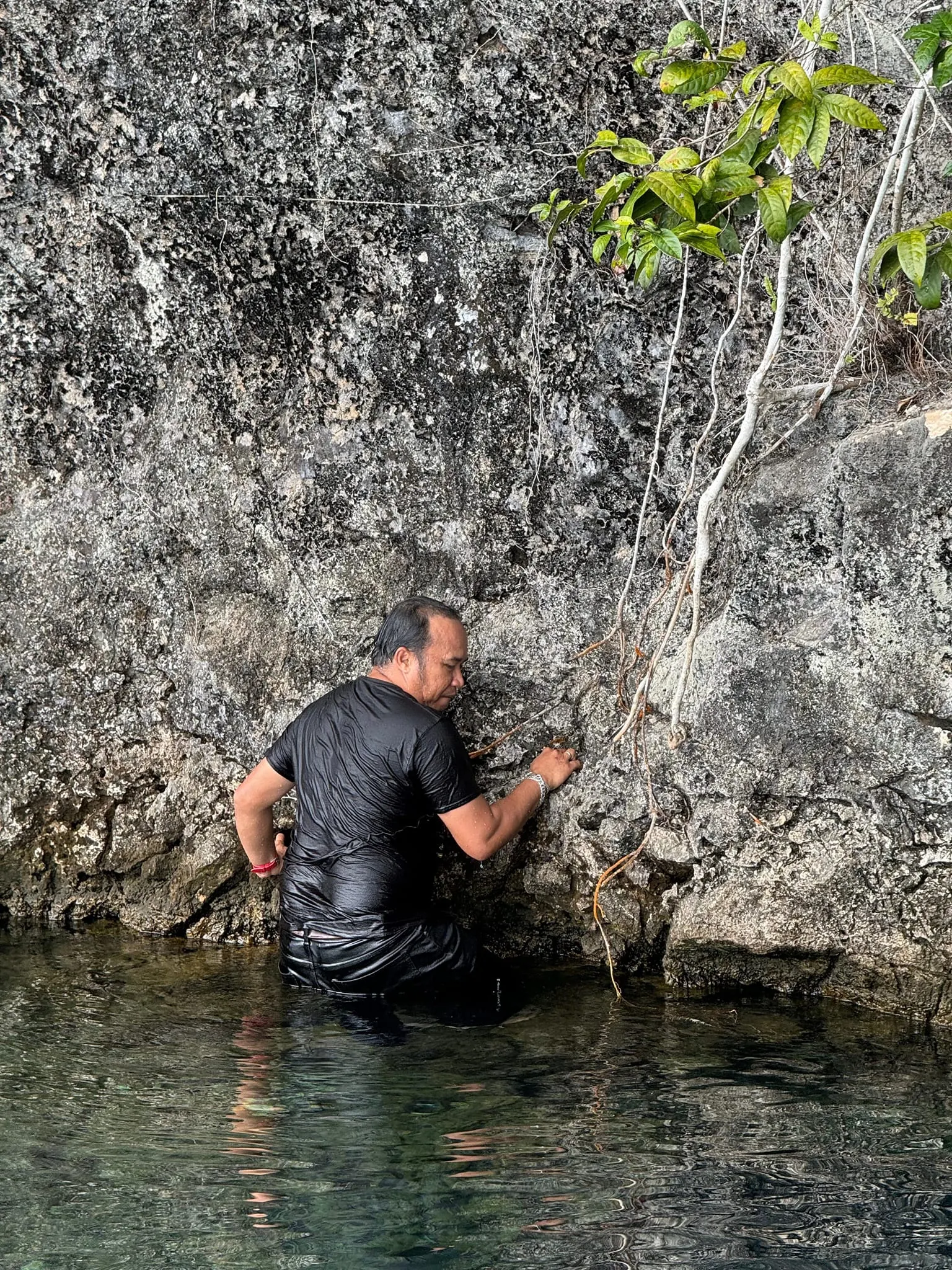 The Hake's Cottage - Berenang