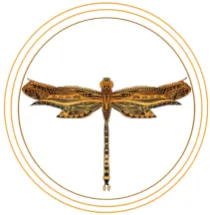 Heartfelt Wings logo