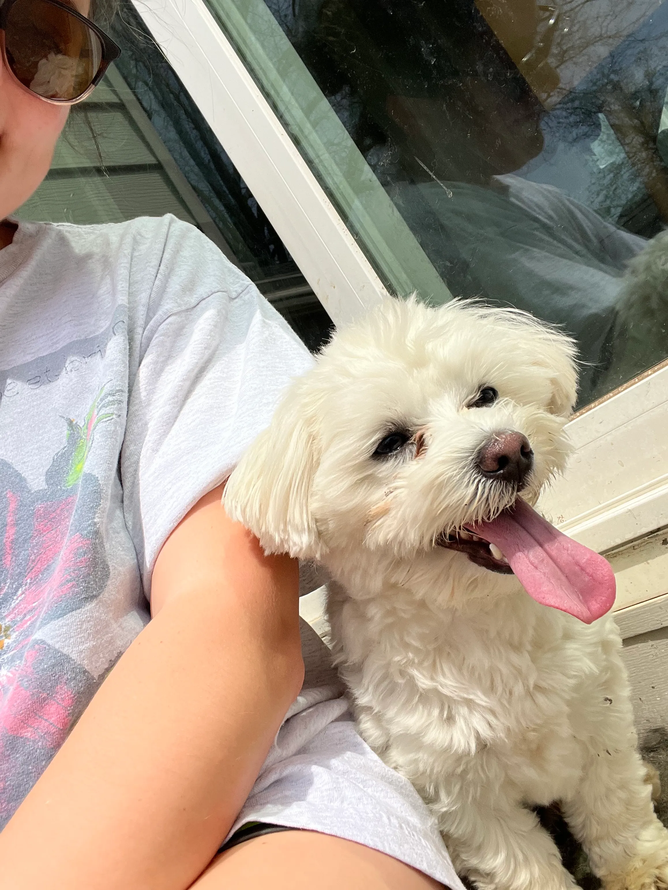 Happy white dog with tongue out sitting next to smiling owner during a sunny pet sitting visit in Kansas City