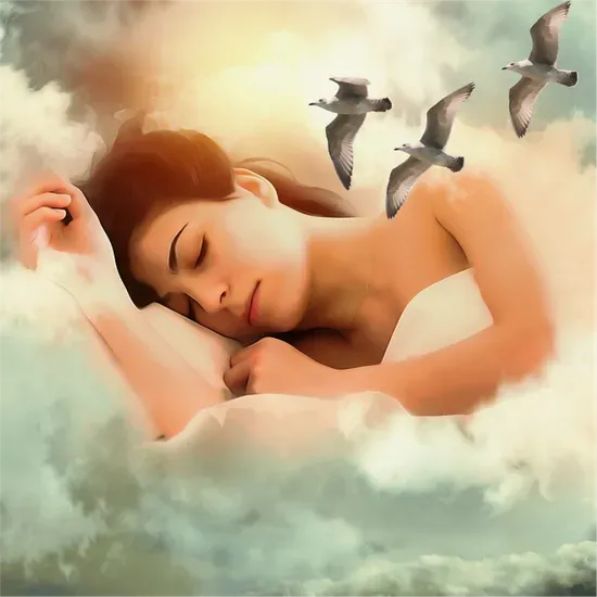 Women Sleeping in the clouds & flying seagulls
