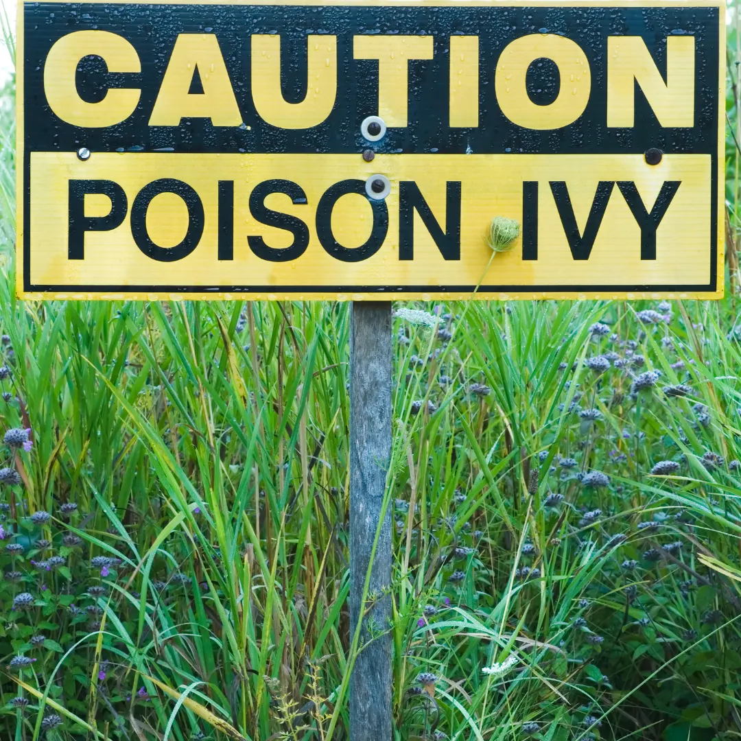 poison ivy professional service