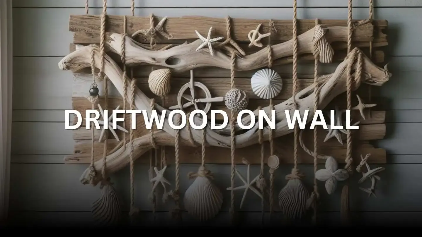 driftwood on wall hanging