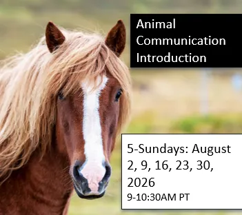 Animal Communication Intro