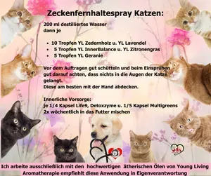 Zeckenvorsorge Katze