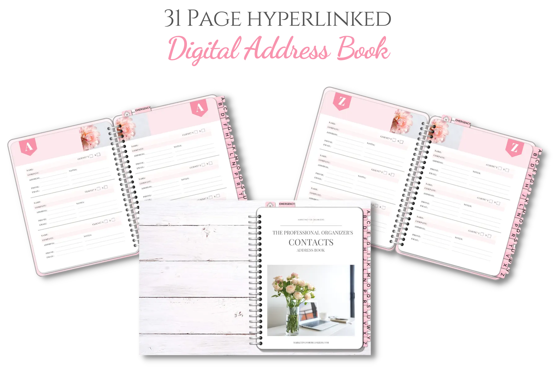 Finding My Niche for Pro Organizers