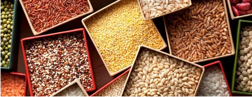 An assortment of whole grains in square bowls on a table.