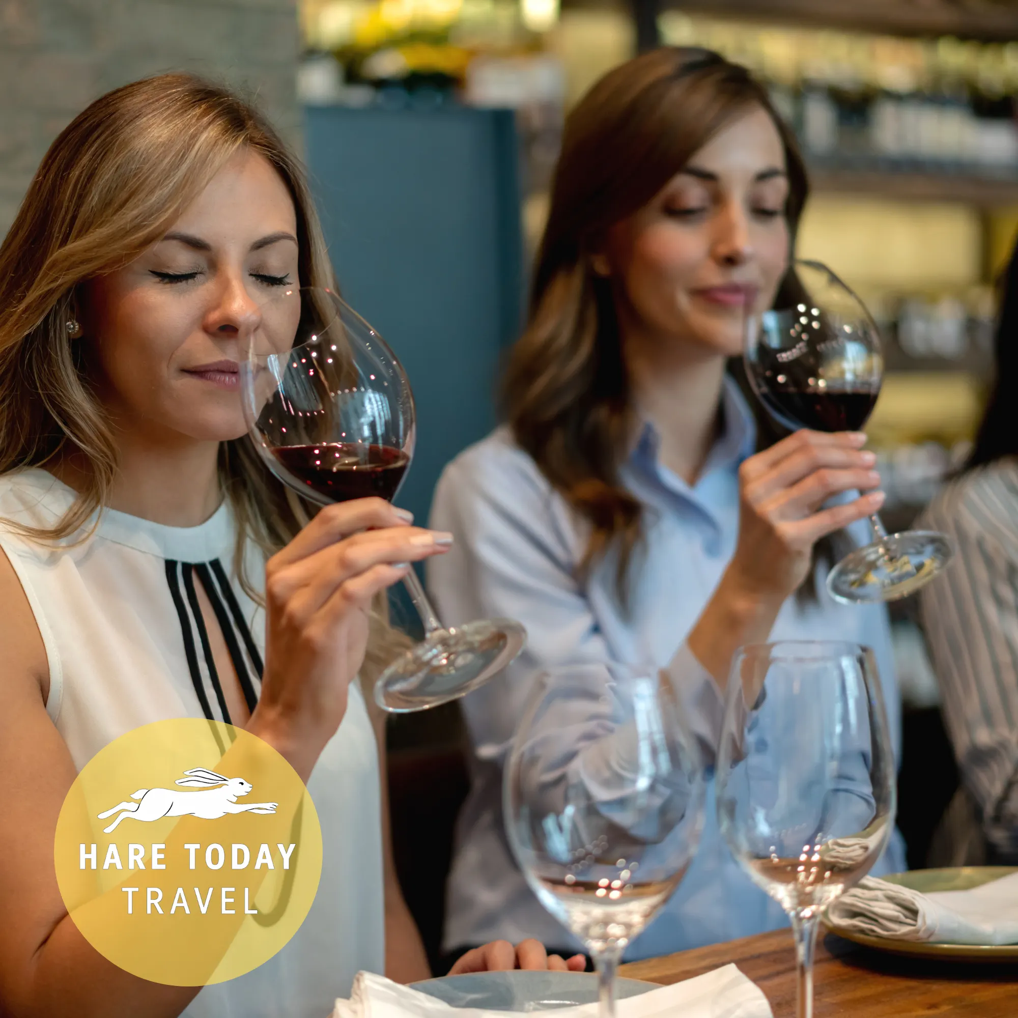 Wine Tasting with Hare Today Independent Travel