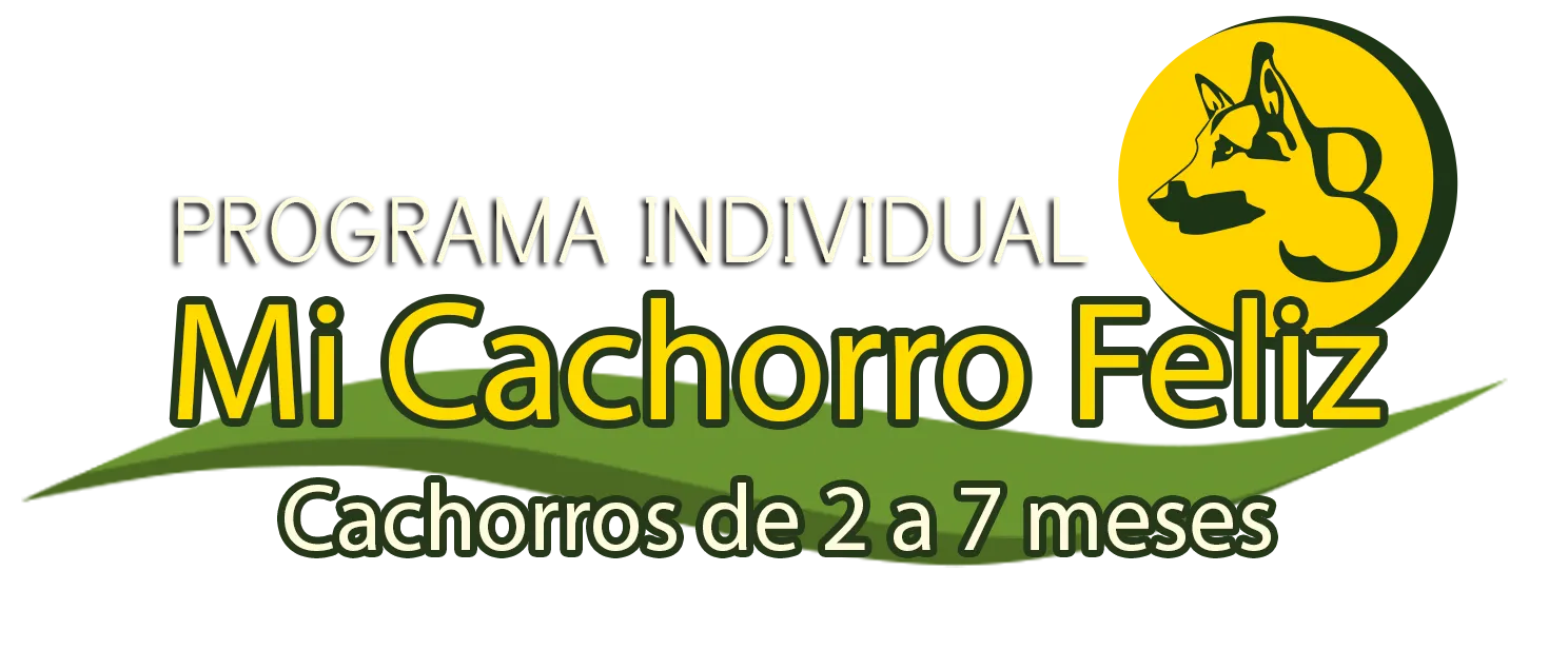 Programa Individual Mi Cachorro