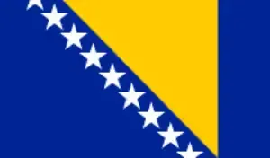 Bosnia & Herzegovina Flag
