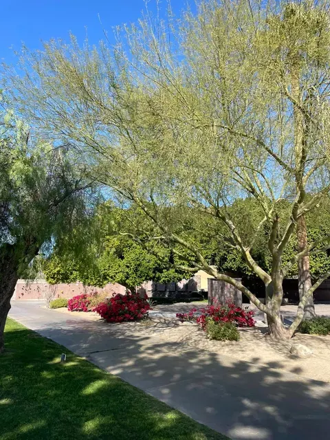 View inside Desert Memorial Park, Cathedral City California