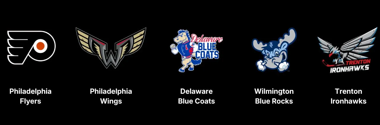 Teams I Have Worked With
