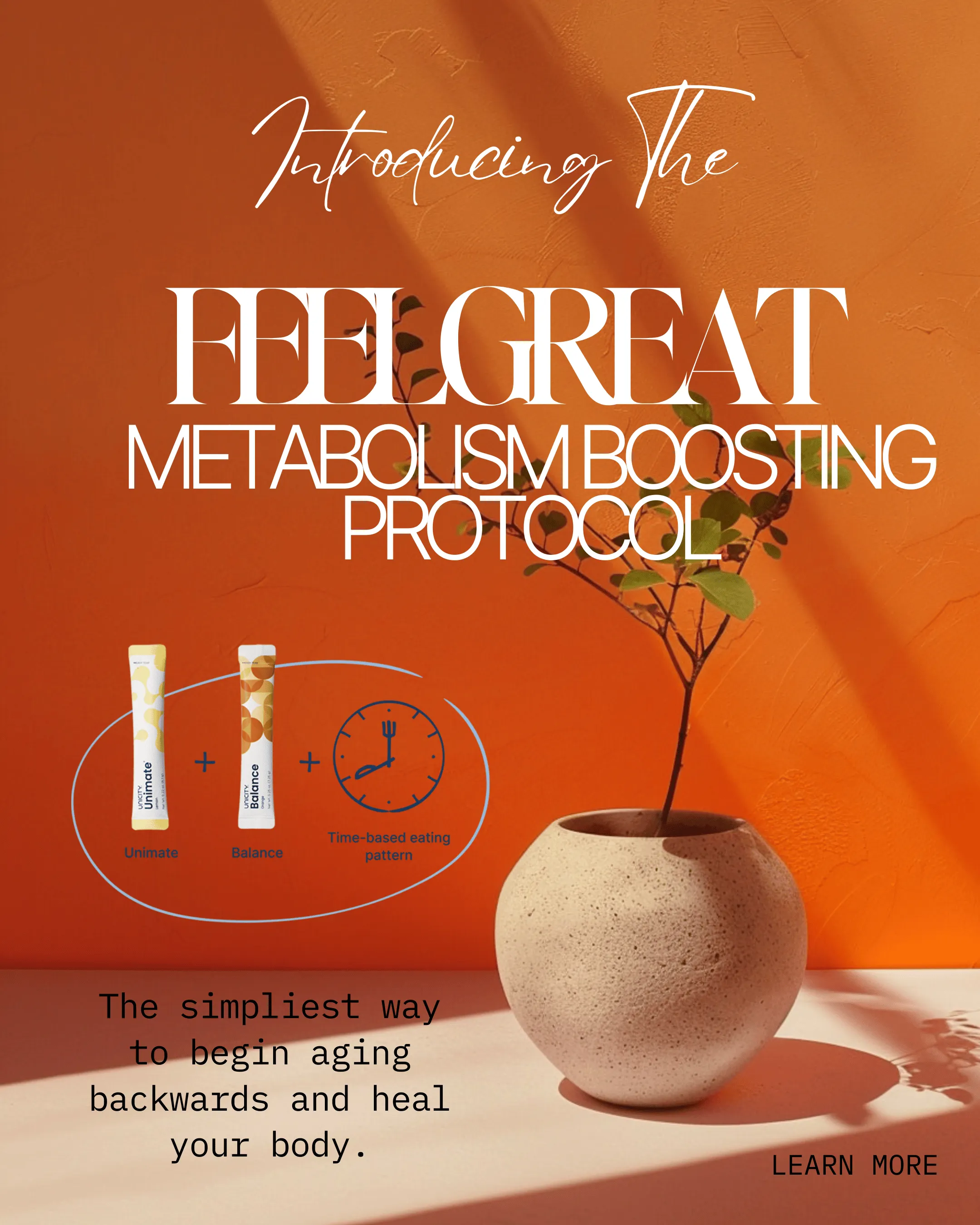 Feel Great Metabolism System
