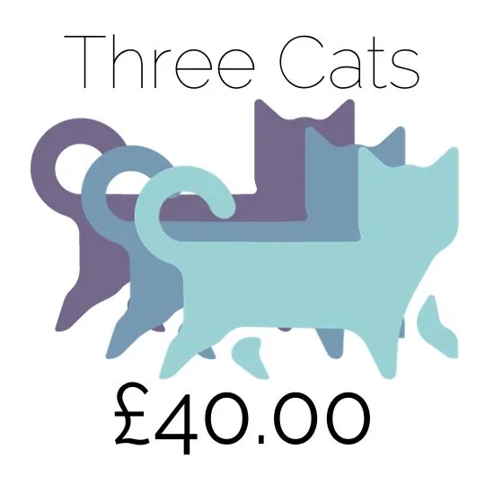 Price for three cats at amberlodge