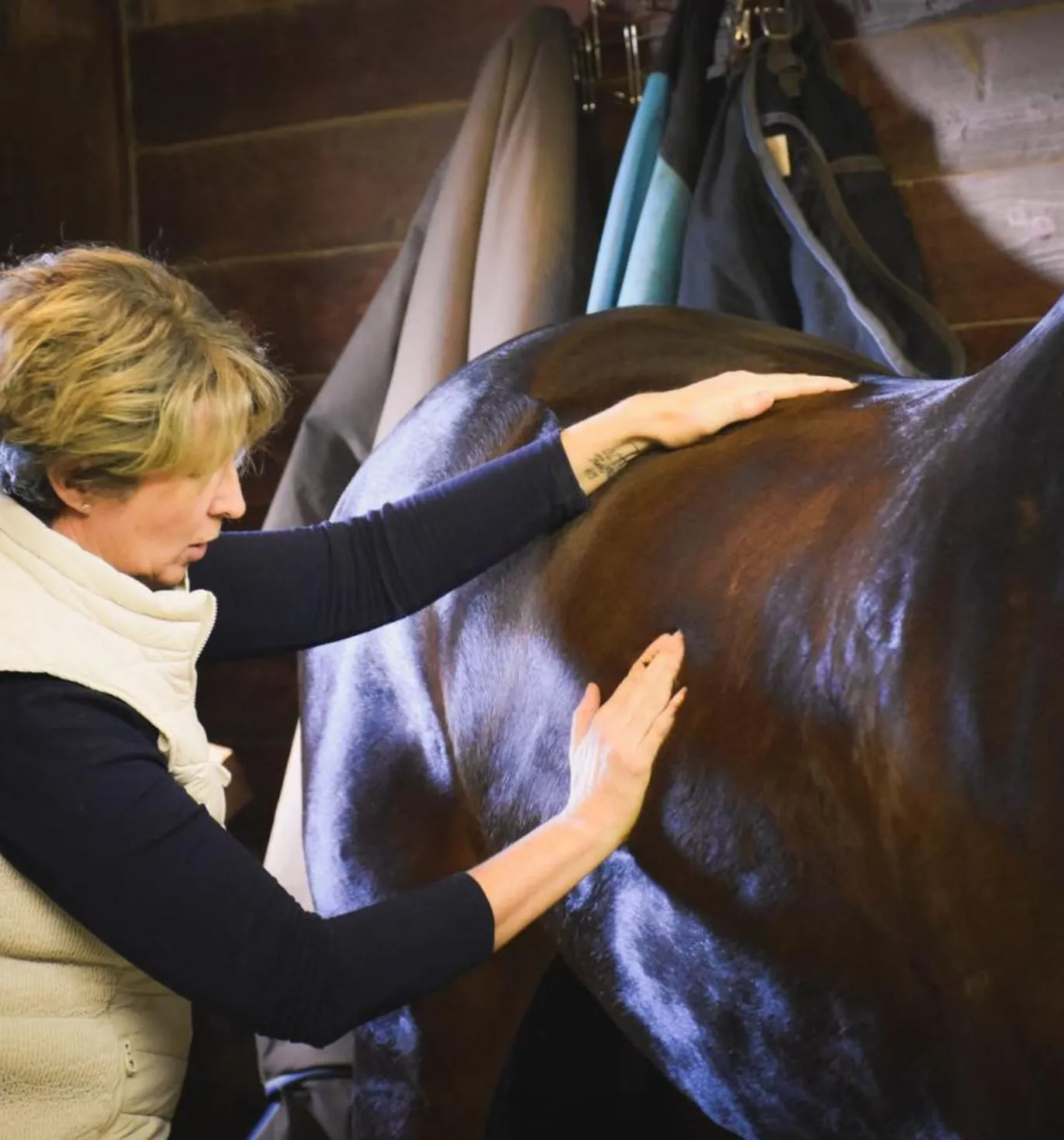Christina doing equine massage