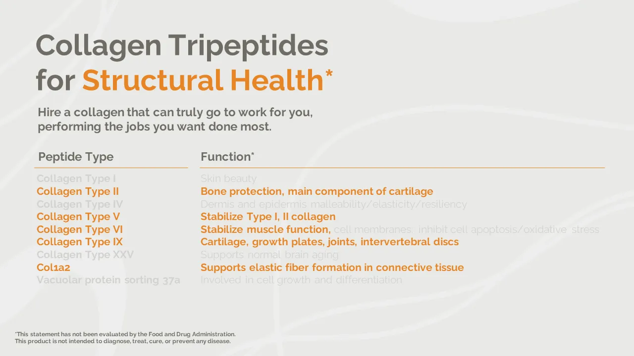 The types of tripeptides that positively impact aging and brain health