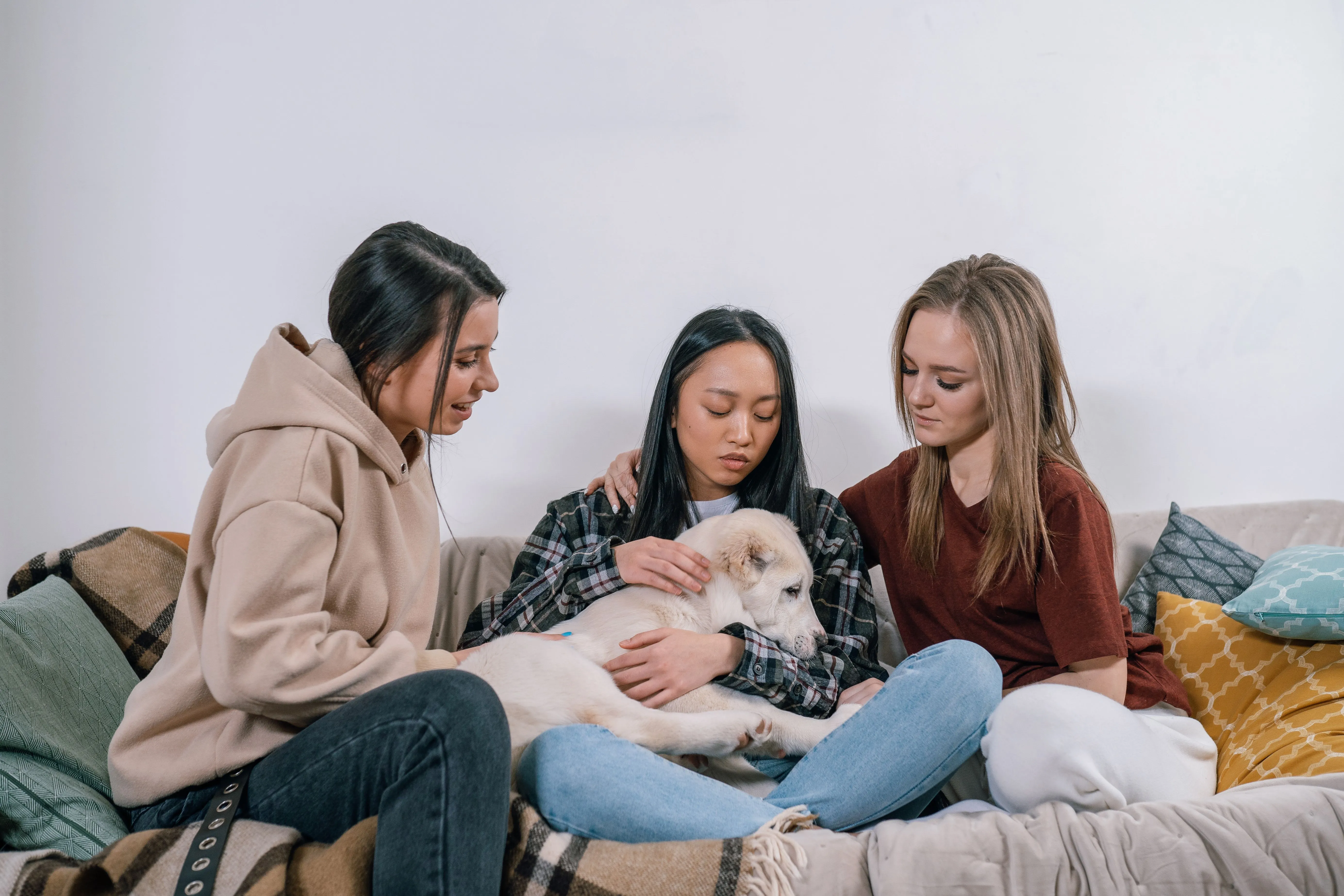 Young puppy calmly interacting with people during early socialization, building confidence for future therapy dog training in Northwest Arkansas.