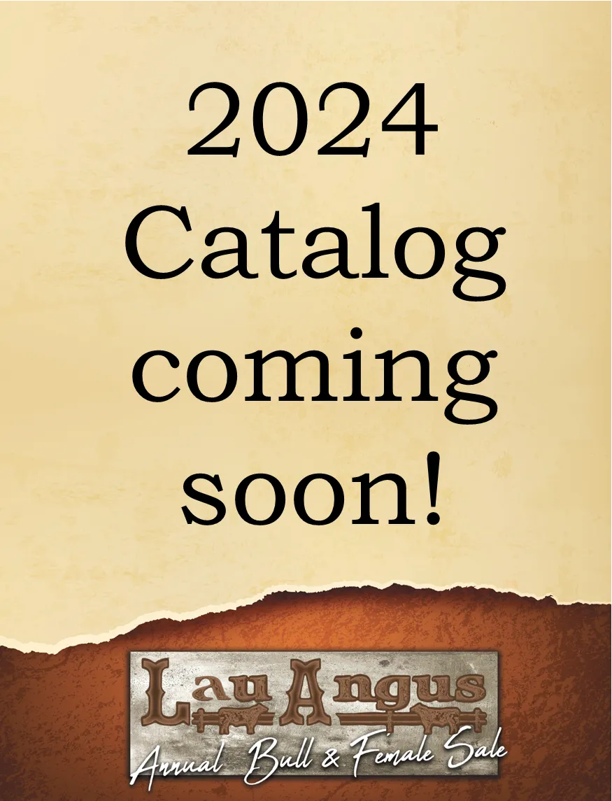 2024 Lau Angus Catalog
