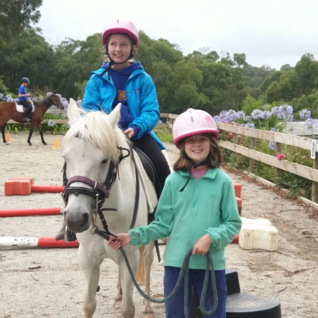 School holiday fun activities with Roxie the pony and our non horse owner children.