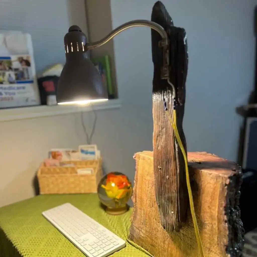driftwood-lamp-in-table