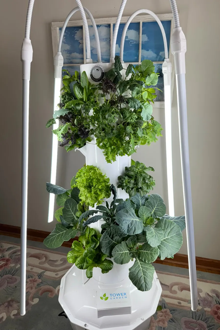 Tower Garden Home indoor aeroponic growing system with leafy greens and vegetables growing under LED grow lights