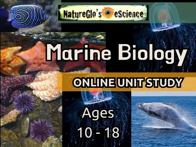 NatureGlo's eScience Marine Biology Online Yearlong Course for Homeschool Grades 5 - 12