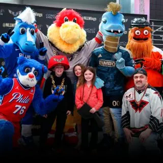 Wings Fan Experience