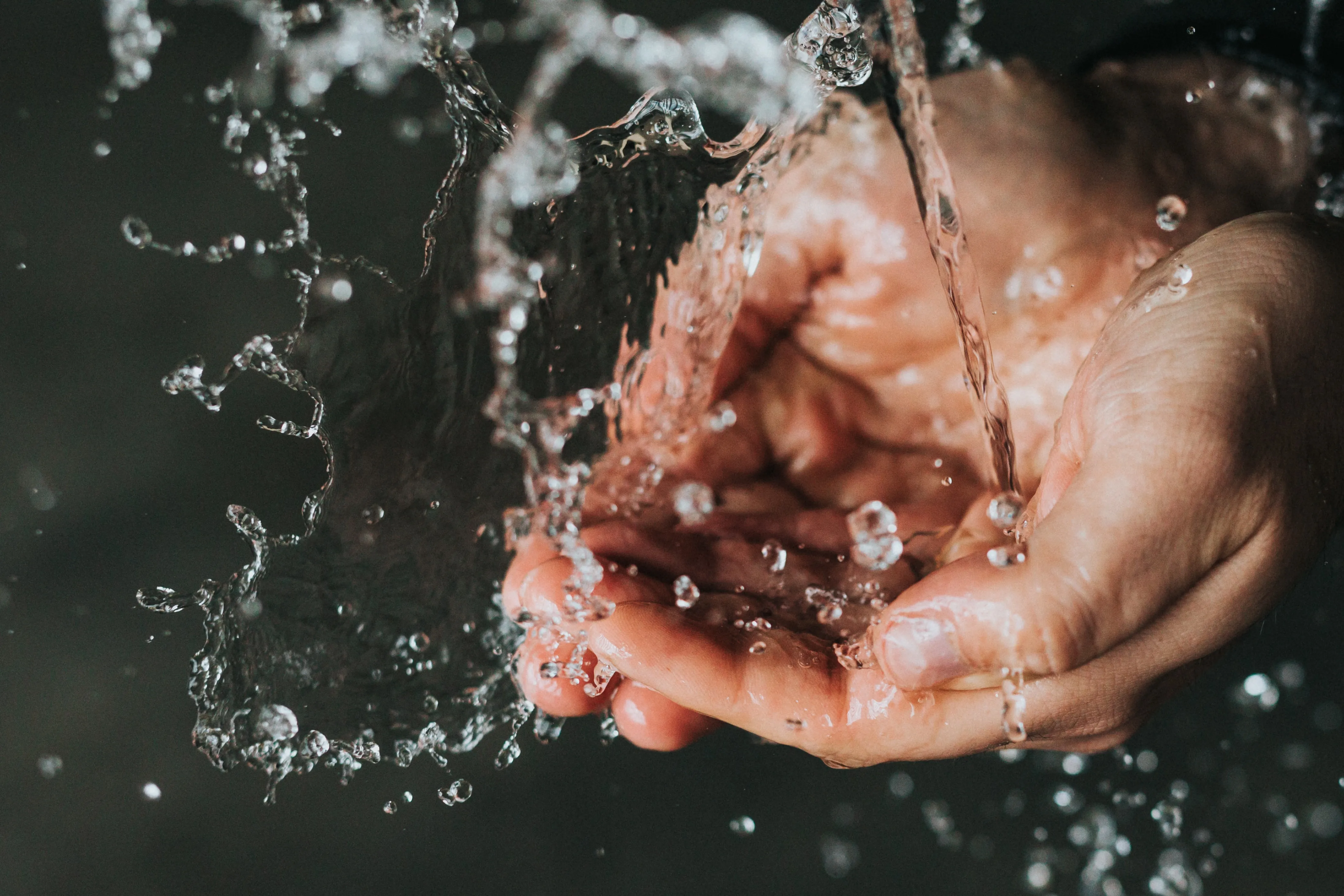 Beyond hand washing, these powerful components can help fight colds and flu.