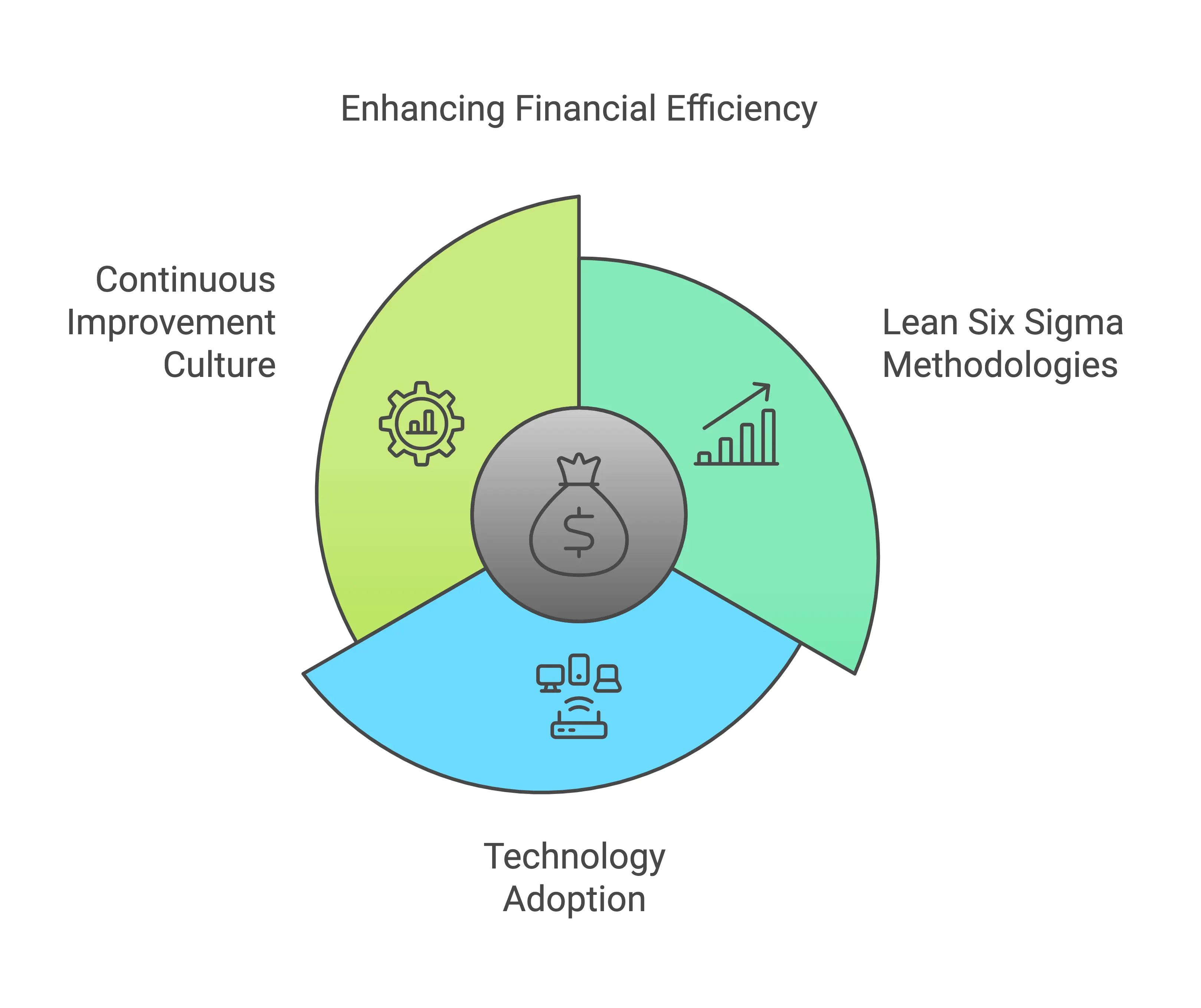 Enhancing Financial Efficiency with Lean Six Sigma