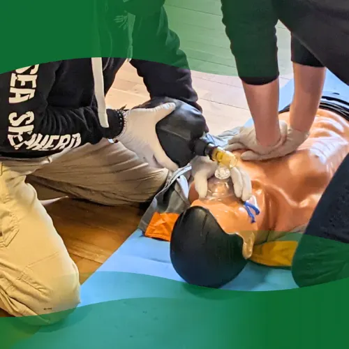 Healthcare workers performing Basic Life Support BLS on a manikin