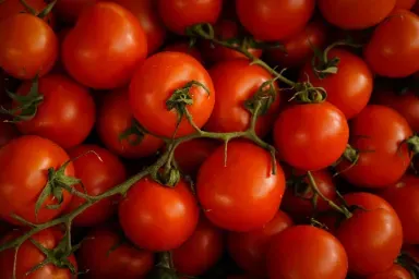 Remove Lectins from Tomatoes