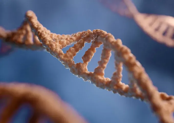 Close-up view of DNA strands showing their twisted, ladder-like structure with base pair highlights