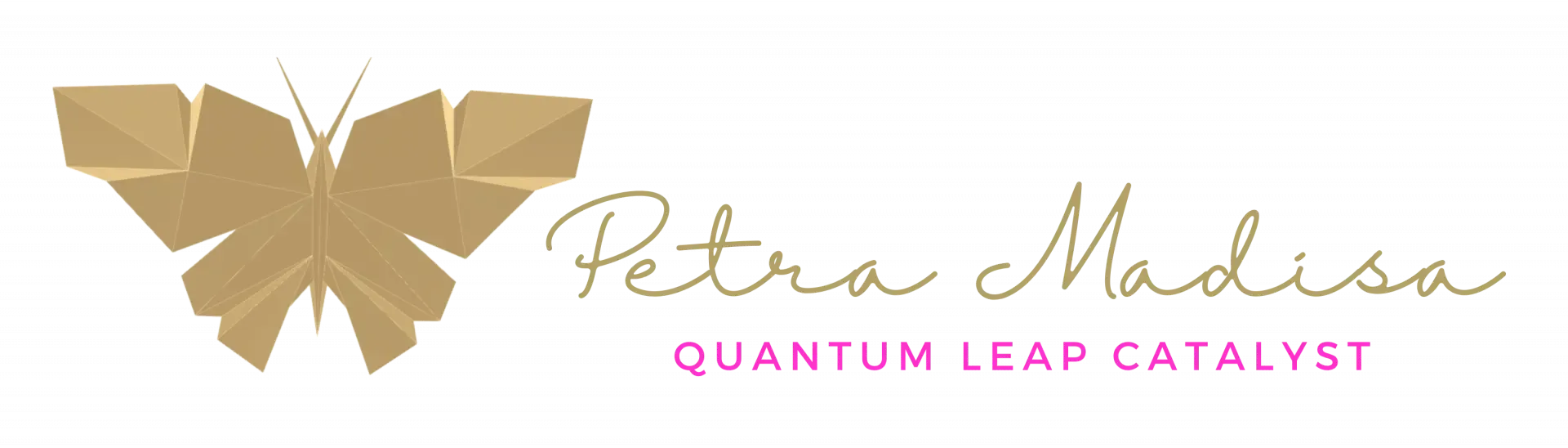 Petra Madisa logo home page