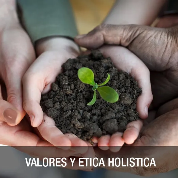 Valores y Etica Holistica