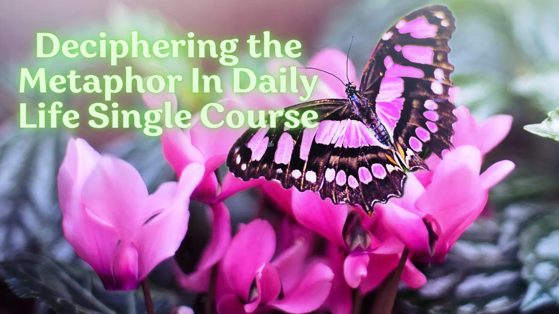 Deciphering the Metaphor in Daily Life (NEW COURSE)