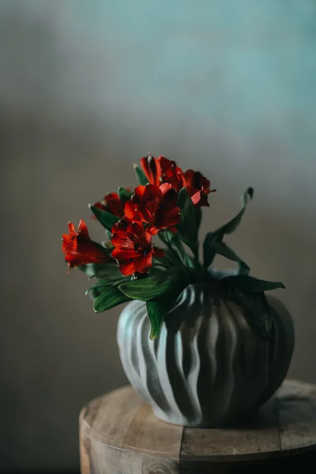 red flowers blooming and growing your business by shifting to a growth mindset using an article with 6 links to resources