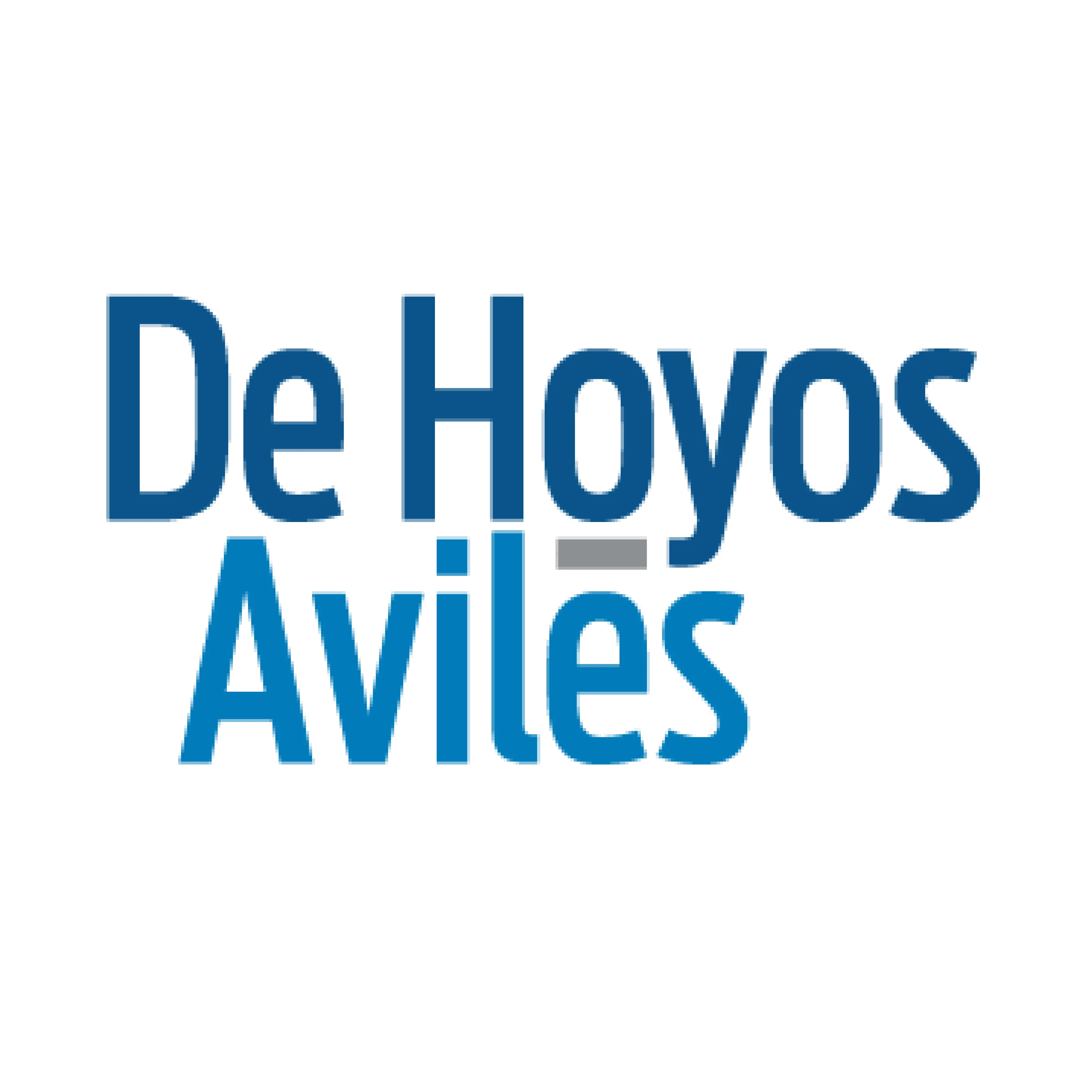 Law Firm | De Hoyos Aviles