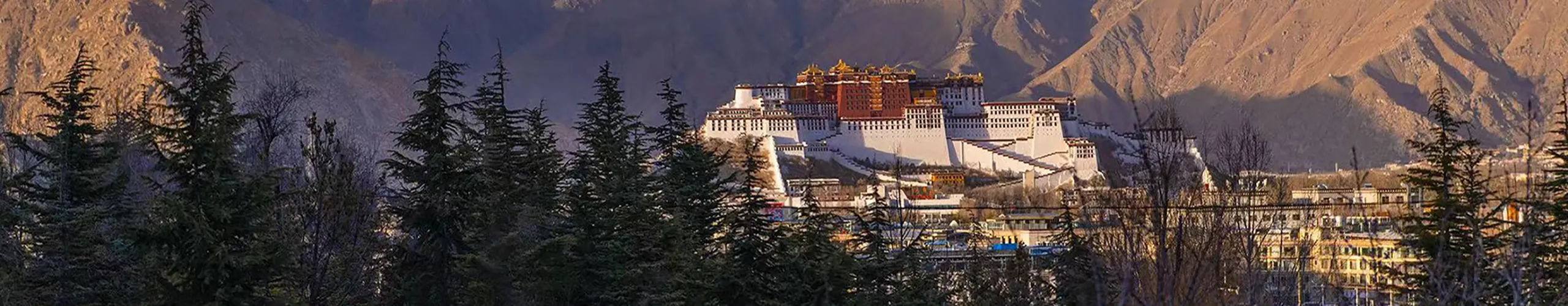 Potala View
