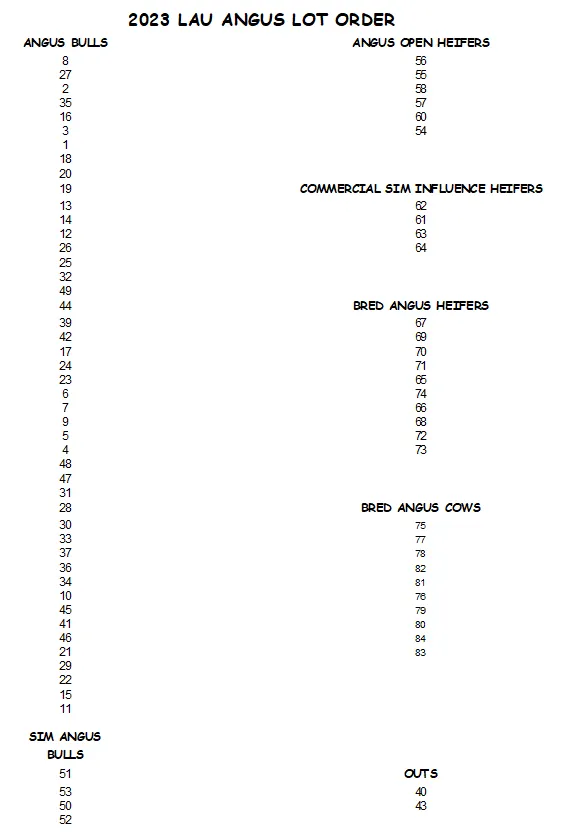 Lau Angus 2023 Bull and Female Sale