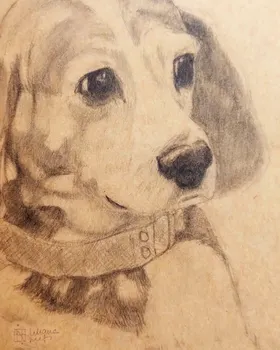 Zookromía - Grafito